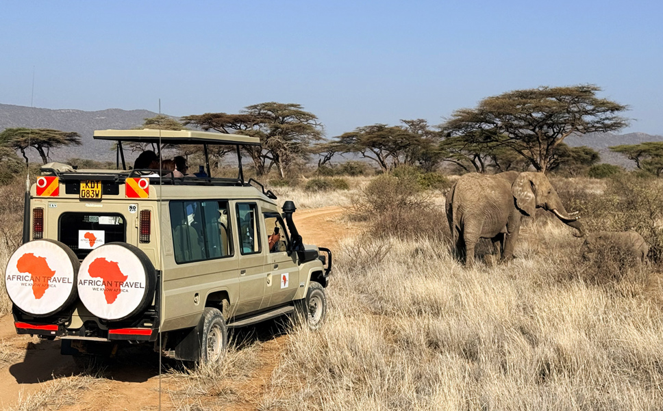 African Travel Inc bespoke safari experience